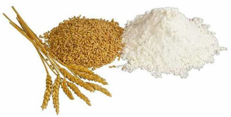 Wheat Protein Market (1)